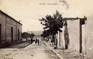 Vialar 606